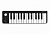 EasyKey MIDI-контроллер, 25 клавиш, LAudio